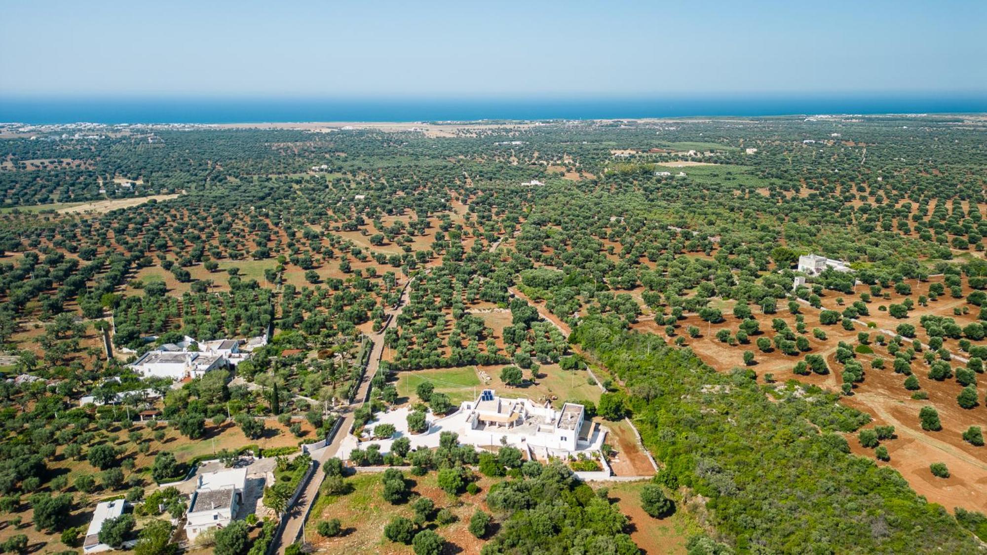 Masseria Abadia Uno 오스투니 외부 사진